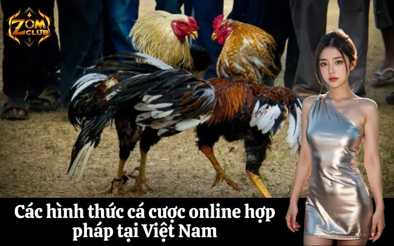 Các hình thức cá cược online hợp pháp tại Việt Nam
