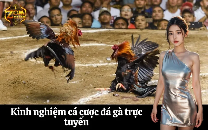Kinh nghiệm cá cược đá gà trực tuyến